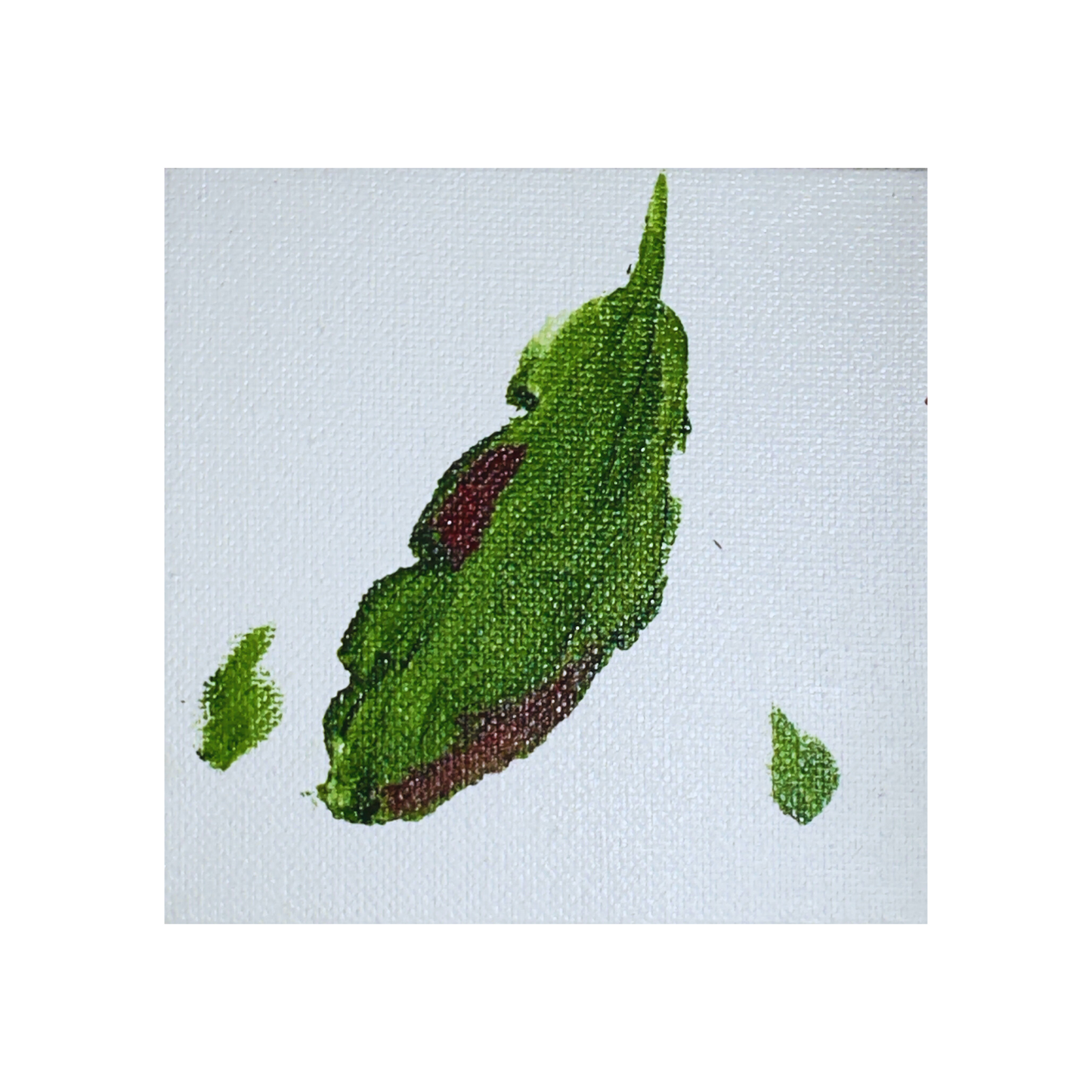 A fresh, leafy green bursting with texture.