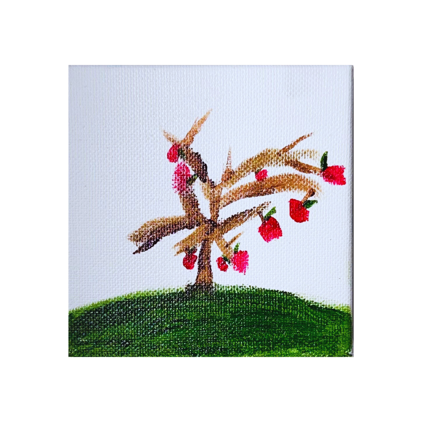 A flowering tree filled with tiny, vibrant blooms.
