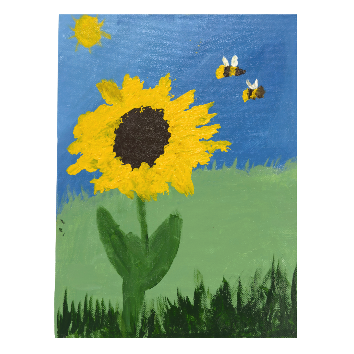 Where Sunflowers Dream